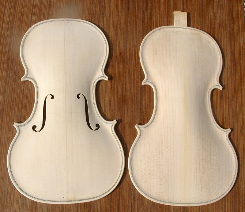 violino